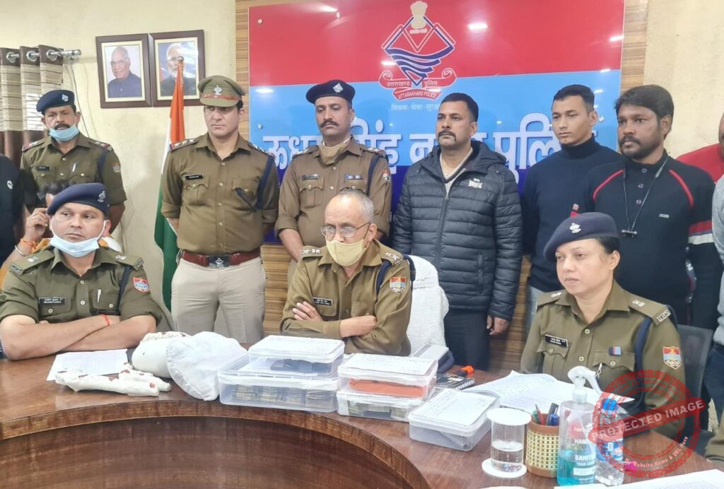 261052784_5371674336180701_5214838679634157030_n