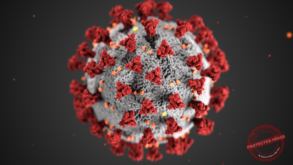 Coronavirus_3D_illustration_by_CDC_1600x900