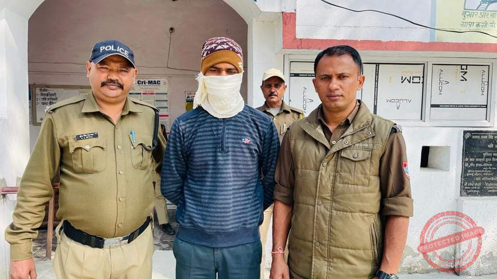 FB_IMG_1636879937389