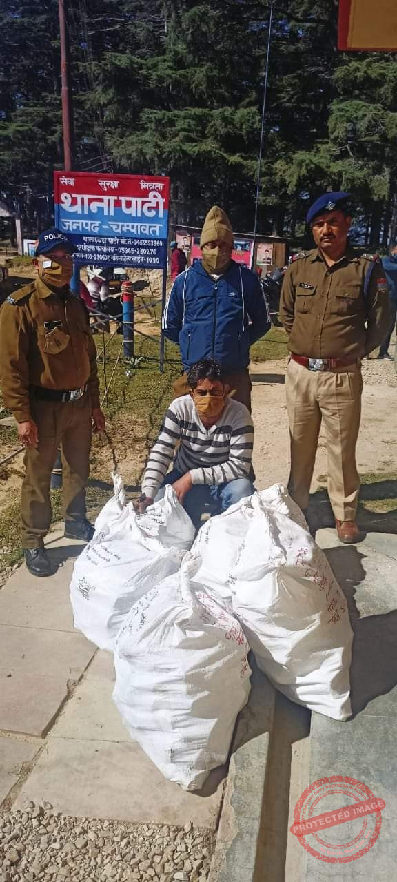 FB_IMG_1637209550525