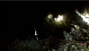 Screenshot_2021-11-21-15-30-06-96