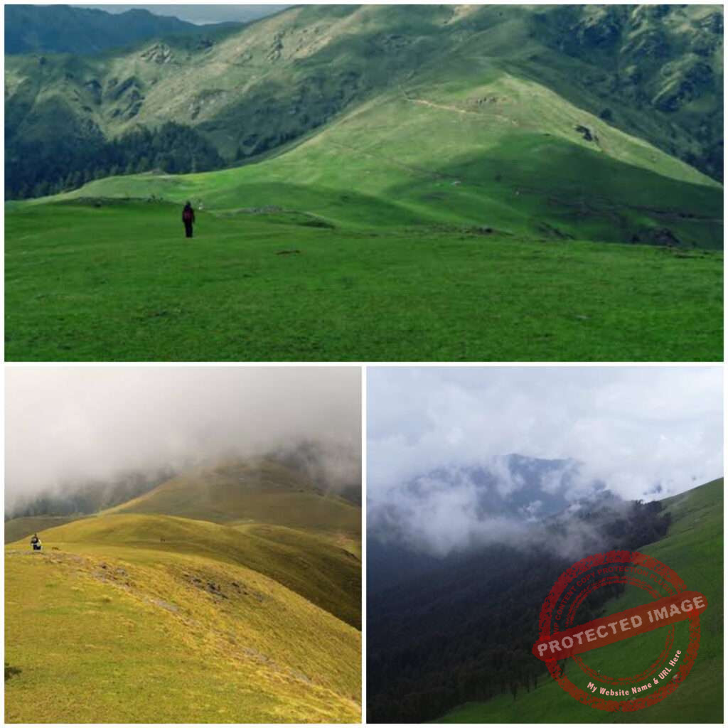 CollageMaker_20211202_233940021