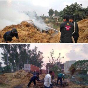 IMG_20211205_221152_003