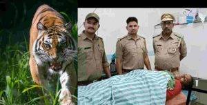 IMG-20220724-WA0000-1024x519