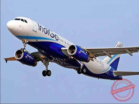 indigo-94297677