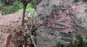 Collage_2022-10-10_15_19_092_c9AK3XW57p-1024x558