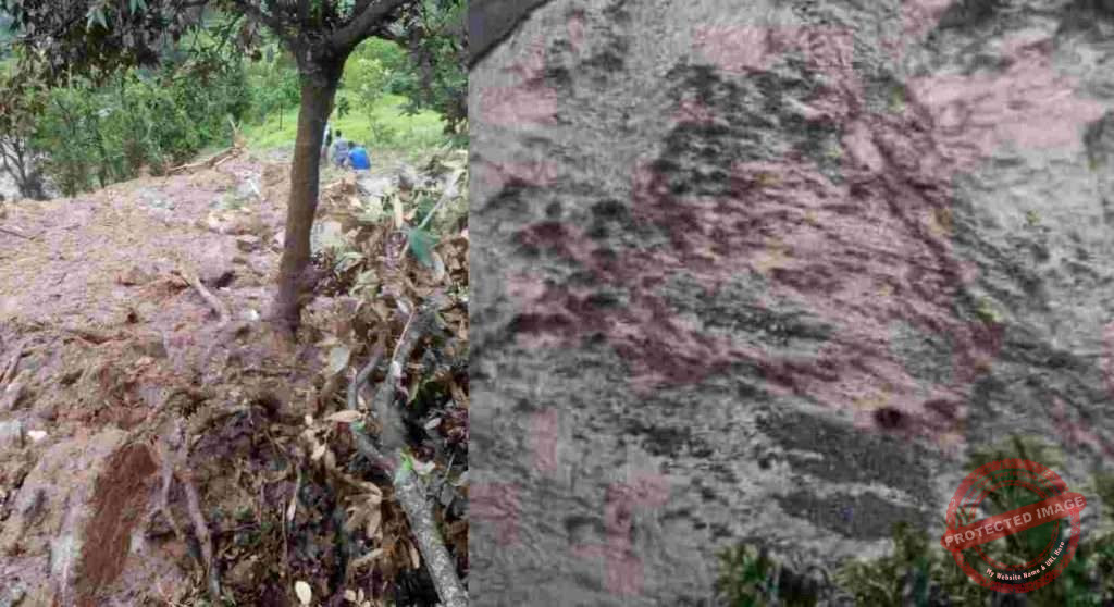 Collage_2022-10-10_15_19_092_c9AK3XW57p-1024x558