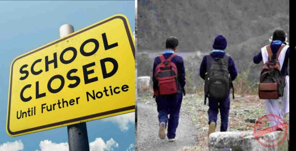 Collage_2023-07-09_23_51_132_aBB22FhG1E