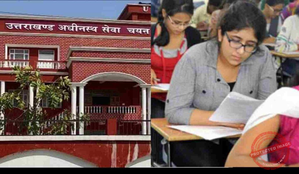 Collage_2023-07-22_06_40_523_T63mv7vd7n (1)