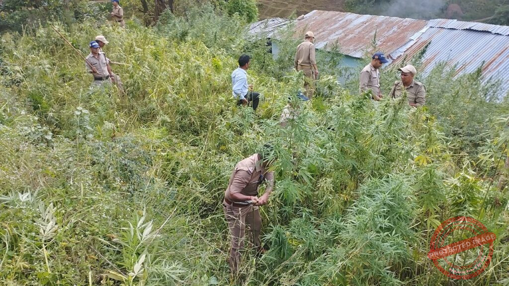 382584407_701887278641298_2161736906402954228_n