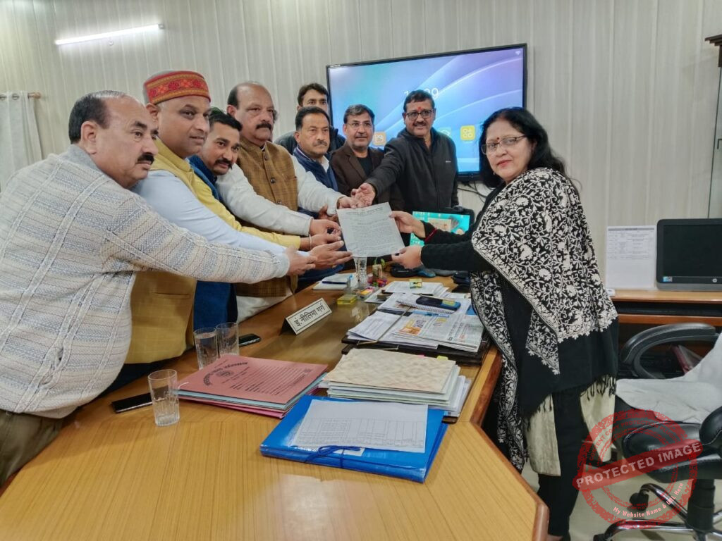 WhatsApp Image 2025-02-13 at 19.19.26