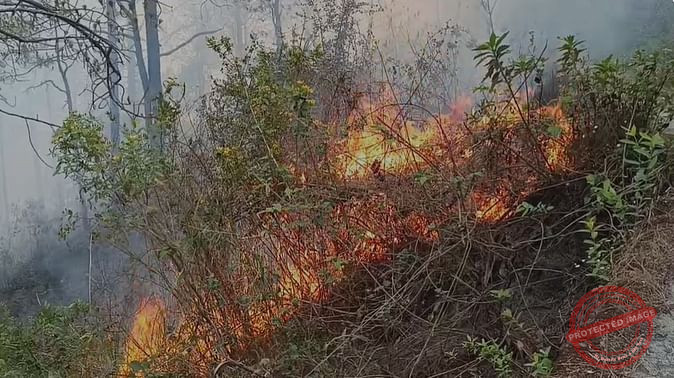 nainital-forest-fire_673a10216d5634a42f76141404629739.jpeg