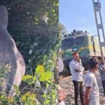🐘 उत्तराखंड: बाघ एक्सप्रेस की चपेट में आने से नर हाथी की मौत, रेलवे ट्रैक पर मचा हड़कंप