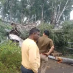 🌳 कोटद्वार में दर्दनाक हादसा: बारिश से बचने के लिए पेड़ के नीचे खड़े दो लोगों पर गिरा विशालकाय पेड़, एक की मौत; दूसरा गंभीर